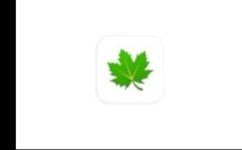 Greenify App, An In-depth Guide, Features, Benefits, and Usage